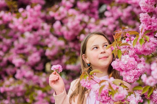 Concetto di allergia ai pollini Il bambino si gode il fiore di ciliegio sakura Il bambino sui fiori rosa sakura sullo sfondo dell'albero Rimedio all'allergia Il bambino si gode la vita senza allergia Annusando i fiori Ragazza che si gode l'aroma floreale