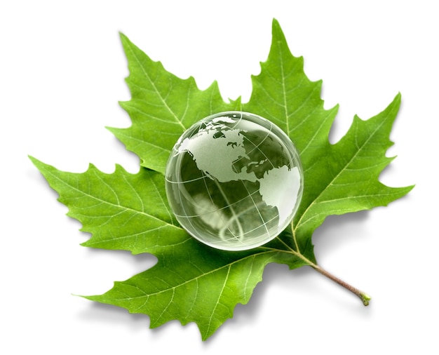Concetto di ambiente, globo di vetro e foglia verde