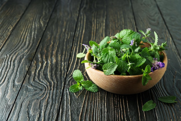 Concetto di aromaterapia con spazio di menta per il testo