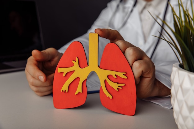 Concetto di assistenza sanitaria e trattamento medico che mostra un modello di polmone nel suo ufficio