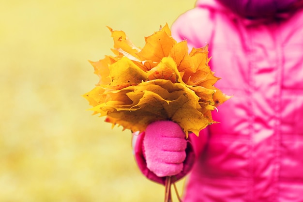 concetto di autunno, infanzia, stagione e persone - primo piano della mano della bambina che tiene il mazzo di foglie d'acero all'aperto