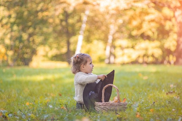 concetto di autunno. ragazza con un cesto di foglie autunnali e un cappello da strega sul prato in un parco autunnale in una giornata di sole.
