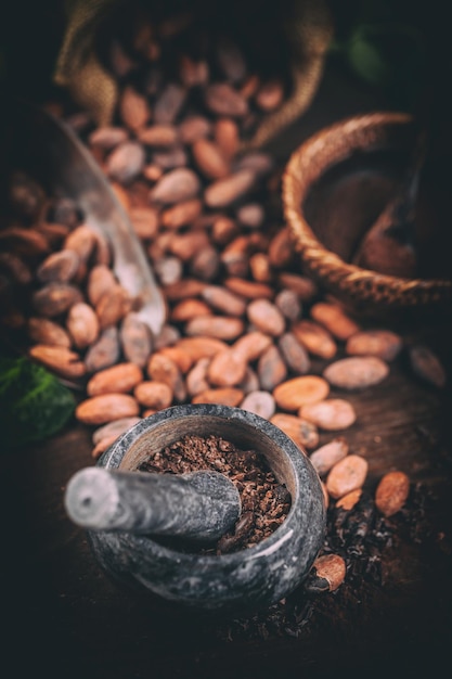 Concetto di cacao