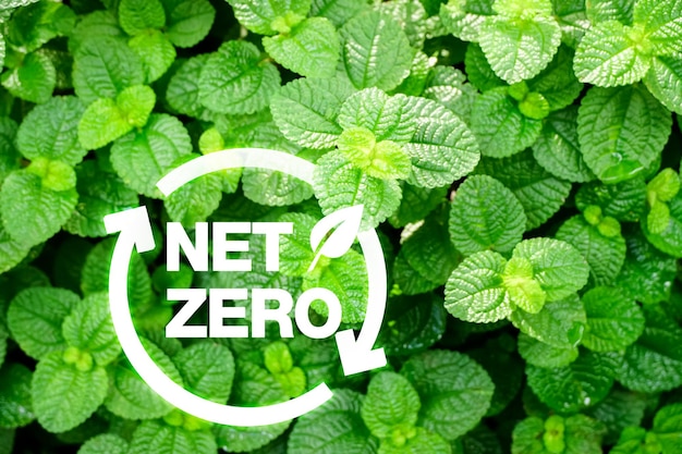 concetto di carbon neutral e di emissioni nette zero. ambiente naturale Un clima neutro a lungo termine