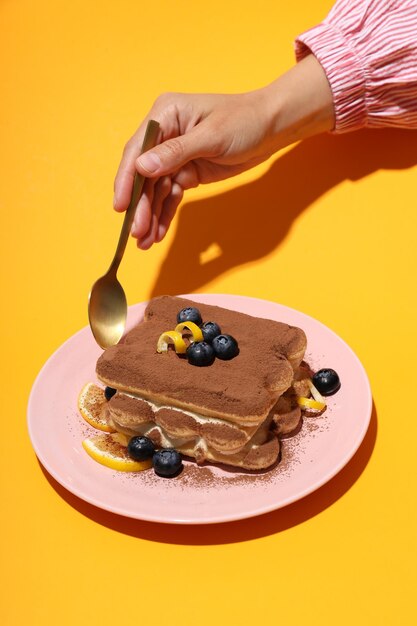 Concetto di cibo dolce gustosa torta Tiramisù