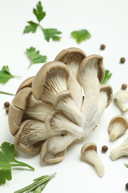 Concetto di cibo gustoso con funghi ostrica su bianco