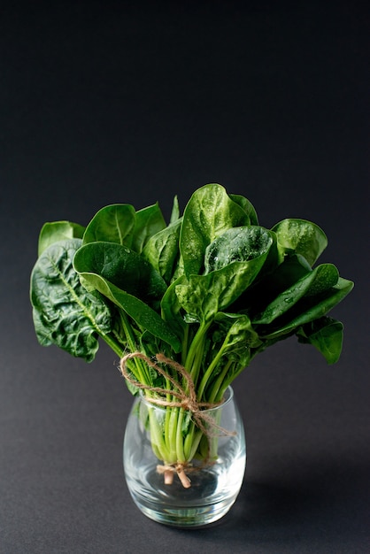 Concetto di cibo pulito. Mazzo di foglie di spinaci biologici freschi verdi in un bicchiere su uno sfondo nero. Sana dieta disintossicante primavera-estate. Cibo crudo vegano.