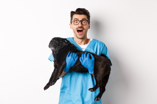 Concetto di clinica veterinaria. Veterinario medico maschio felice che tiene cane pug nero sveglio, fissando stupito, bianco.