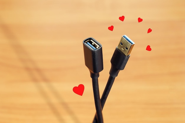 Concetto di compatibilità due prese USB vicine si accoppiano in relazioni