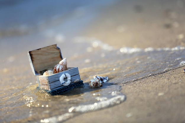 Concetto di corallo e petto con conchiglie in riva al mare