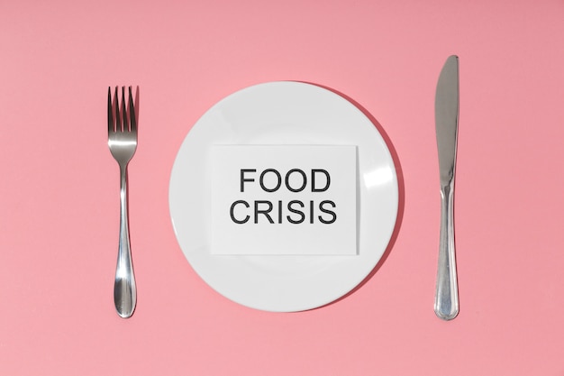 Concetto di crisi alimentare vista dall'alto con piatto