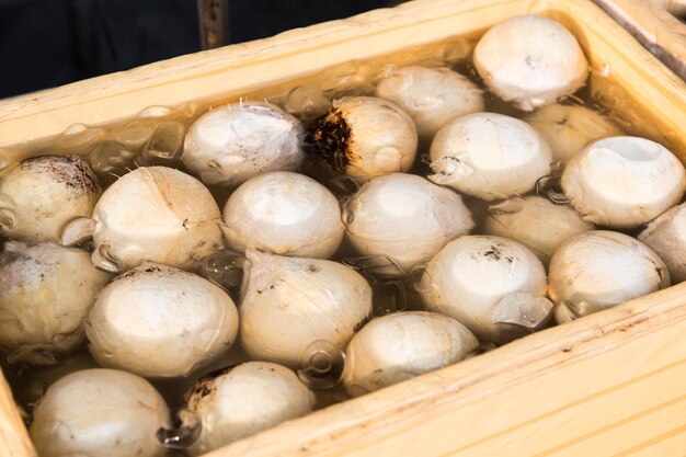 concetto di cucina e cucina asiatica - vendita di cibo al mercato di strada