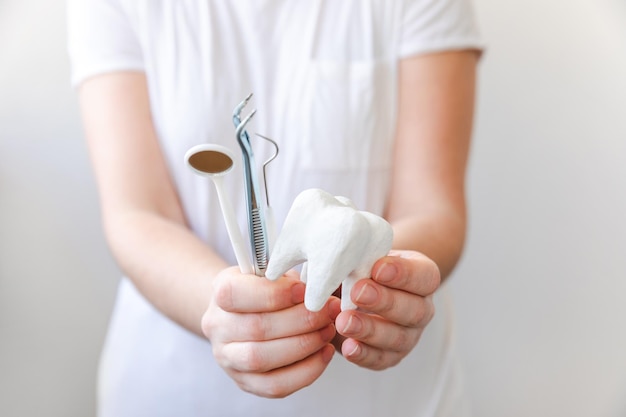 Concetto di cura dentale di salute Mano della donna che tiene il modello di dente sano bianco e gli strumenti del dentista dentale isolati su sfondo bianco Sbiancamento dei denti igiene orale dentale restauro dei denti giorno del dentista