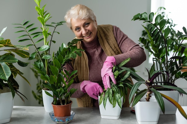 concetto di cura di persone, lavori domestici e piante - donna anziana che annaffia le piante d'appartamento a casa.