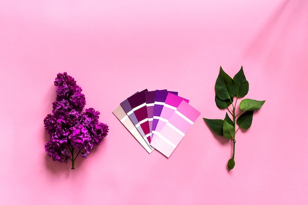 Concetto di design minimalista fai da te. Campioni di colore alla moda: fiori rosa, viola, magenta e lilla su sfondo rosa. Vista dall'alto,