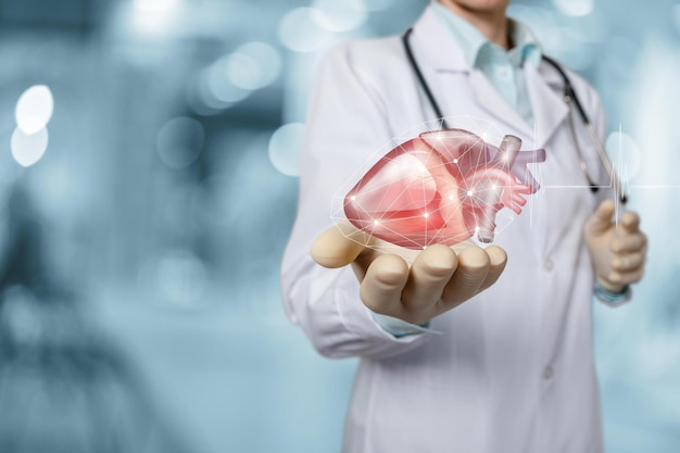 Concetto di diagnosi e trattamento delle malattie cardiache Il medico mostra il cuore su sfondo sfocato