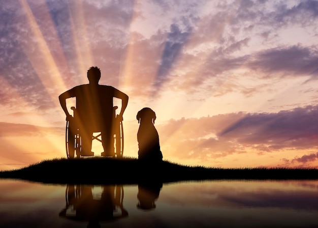 Concetto di disabilità e malattia. Silhouette di una persona disabile in sedia a rotelle con il suo cane al tramonto e riflesso nell'acqua