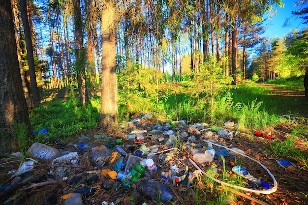 concetto di ecologia della discarica di rifiuti forestali, protezione della natura dell'inquinamento della foresta dai rifiuti