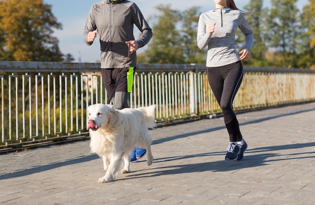 concetto di fitness, sport, persone e jogging - primo piano di coppia con cane che corre all'aperto