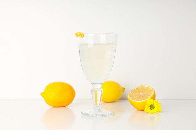 Concetto di fresca bevanda estiva Limoncello cocktail