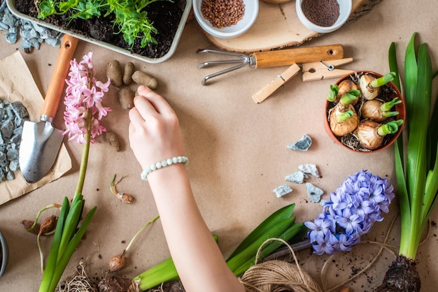 Concetto di giardinaggio con fiori primaverili giacinti attrezzi da giardino sfondo Piatto posato su carta artigianale