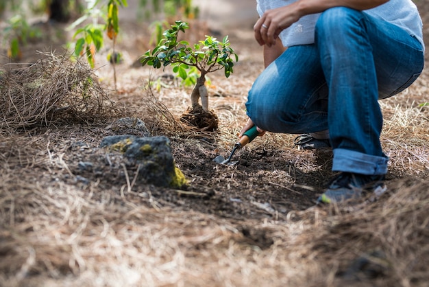 Concetto di giardinaggio e nessuna deforestazione le persone con una donna irriconoscibile si prendono cura di una nuova pianta