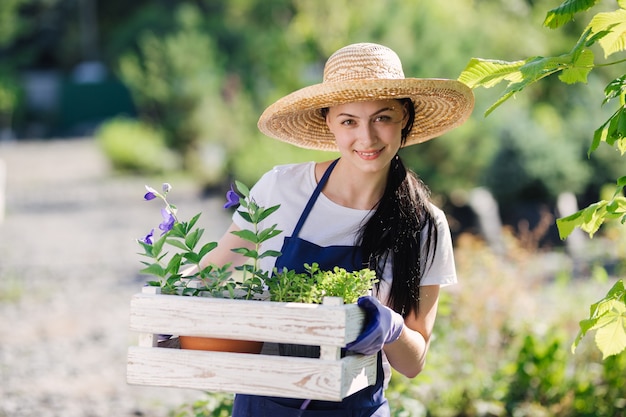 Concetto di giardinaggio. Giardiniere di bella giovane donna con fiori in scatola di legno.