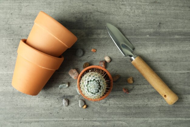 Concetto di giardinaggio su sfondo grigio con texture