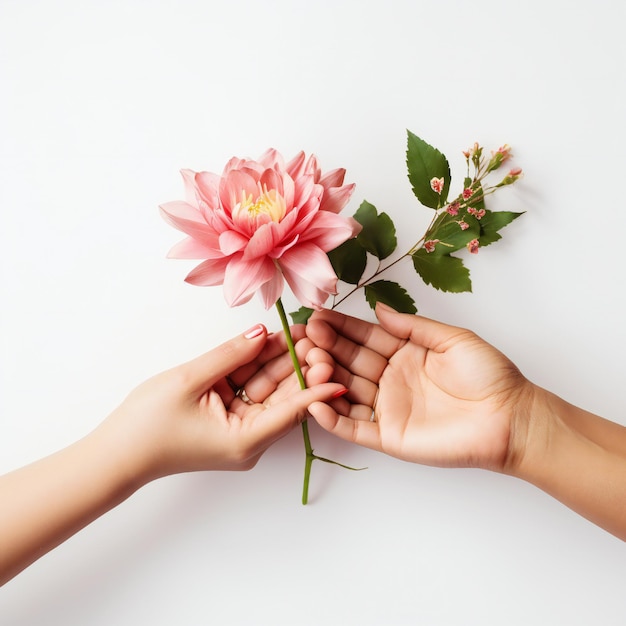 Concetto di giornata della donna con due mani che tengono fiori su sfondo bianco