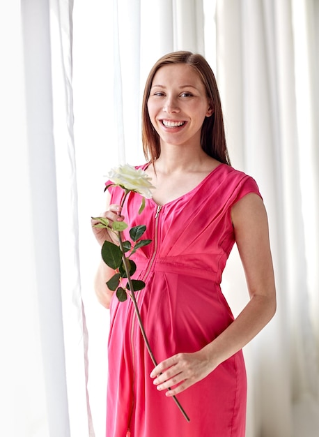 concetto di gravidanza, maternità, persone, vacanze e aspettativa - donna incinta felice con fiore di rosa bianca a casa