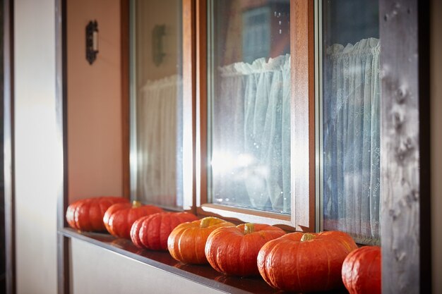 concetto di Halloween. Sulla finestra di casa ci sono molte zucche. Decorazioni per la festa di Halloween.