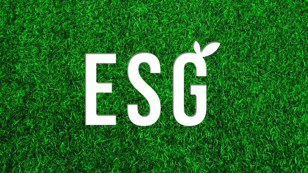 Concetto di icona ESG per l'ambiente sullo sfondo dell'erba verde sociale e governance nel business sostenibile ed etico sulla connessione di rete sullo sfondo dello scenario naturale