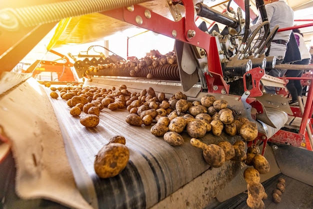 Concetto di industria agricola automatizzata