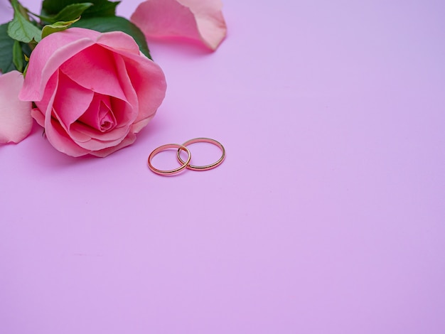 Concetto di matrimonio. Bella rosa rosa su sfondo rosa con due anelli di nozze. Copia spazio.