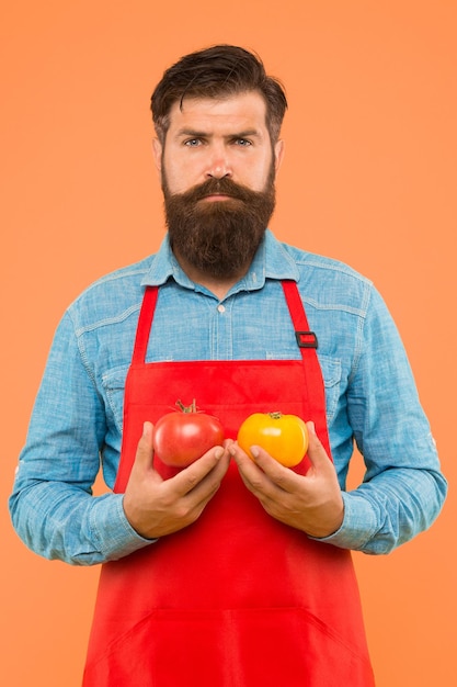 Concetto di mercato agricolo Colture biologiche Dieta del pomodoro Chef cuoco con verdure al pomodoro Cuoco uomo barbuto tenere il pomodoro in mano Salsa di pomodoro o ketchup Cucina mediterranea Cucinare e mangiare sani