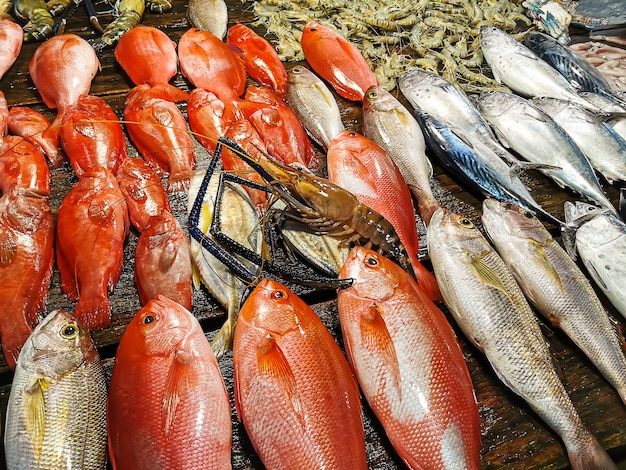 Concetto di mercato del pesce. Pesce, gamberetti, gamberi e aragosta su un primo piano estremo della tavola di legno.