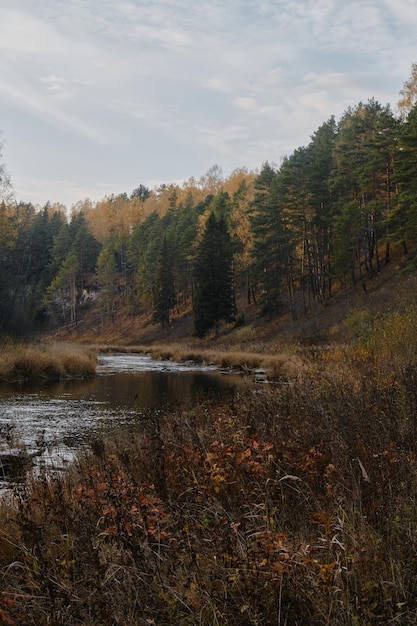 Concetto di natura e ambiente Veduta di bellissime rocce fluviali e foreste miste