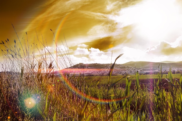 Concetto di natura e ambiente