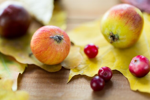 concetto di natura, stagione, autunno e botanica - primo piano di foglie autunnali, frutti e bacche sul tavolo di legno