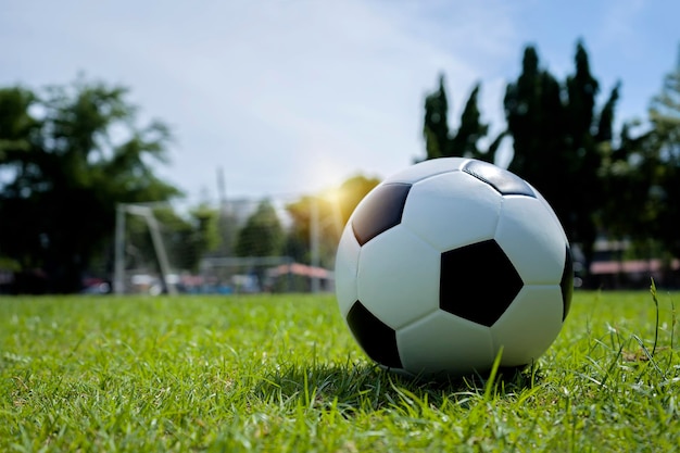 Concetto di obiettivi aziendali Lo scopo di fare affari è raggiungere il successo Il pallone da calcio che viene posizionato sul prato che deve raggiungere l'obiettivo di calcio