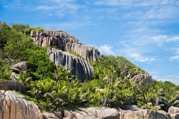 concetto di paesaggio e natura - pietre e vegetazione sull'isola delle seychelles