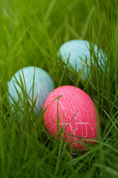 Concetto di pasqua. Erba verde delle uova di Pasqua In primavera.