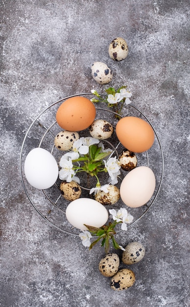 Concetto di pasqua. Pollo e uova di quaglia.