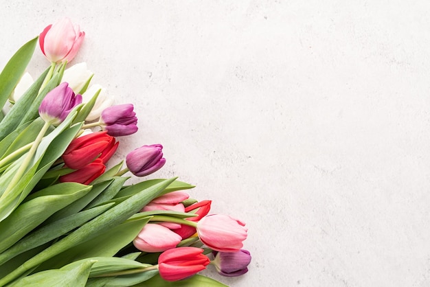 Concetto di primavera. Bouquet di tulipani su fondo di cemento bianco con spazio di copia