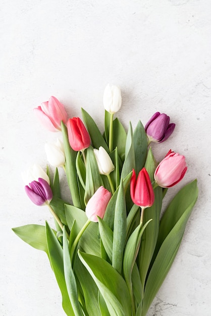 Concetto di primavera. Bouquet di tulipani su sfondo bianco di cemento