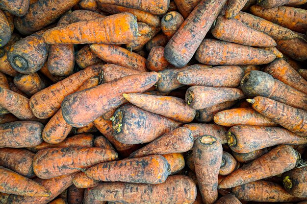 Concetto di prodotti naturali e alimentazione sana. Carota arancione in scatola