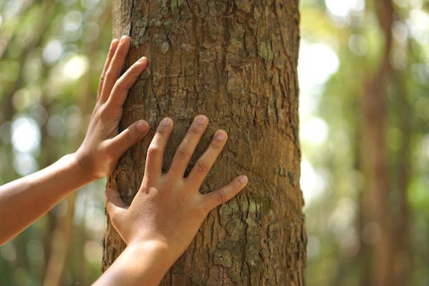 Concetto di salvare il mondo Donna asiatica che tocca un albero