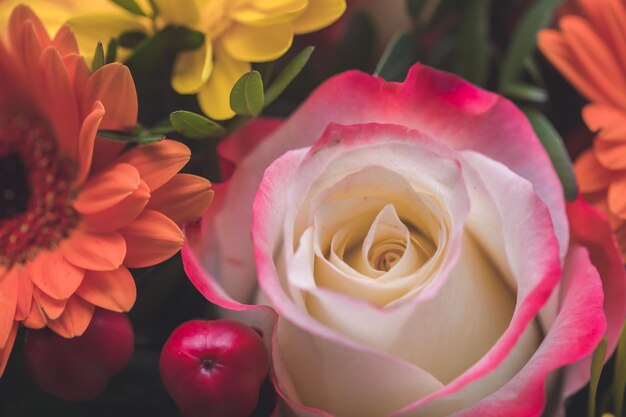 Concetto di San Valentino o Festa della mamma Primo piano di fiori di rosa rosa in bouquet