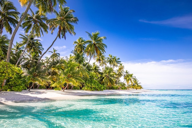 Concetto di sfondo della natura Bellissimo sfondo della spiaggia estiva Paesaggio naturale ispiratore Tropico