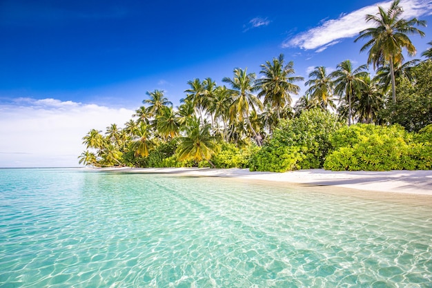 Concetto di sfondo della natura Bellissimo sfondo della spiaggia estiva Paesaggio naturale ispiratore Tropico